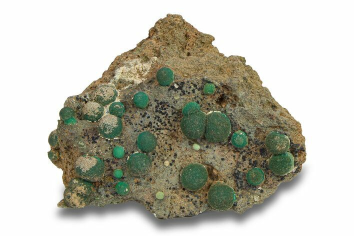 Deep Teal Botryoidal Chrysocolla - Planet Mine, Arizona #283879